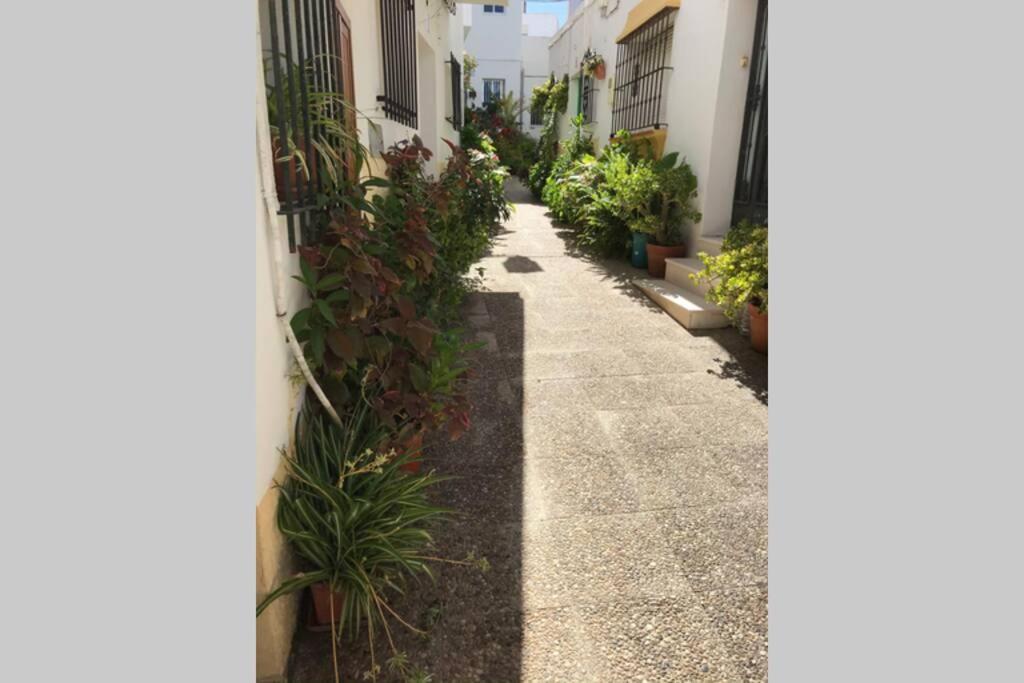 Apartamento Con Azotea Privada Para Parejas Y Familias Conil De La Frontera Εξωτερικό φωτογραφία